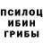 Псилоцибиновые грибы Magic Shrooms artem mahinko