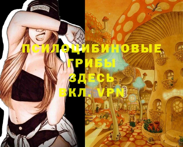 винт Снежногорск