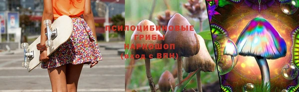 винт Снежногорск